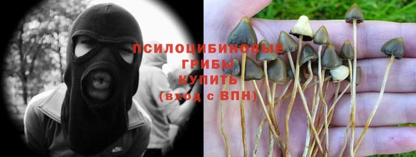 спиды Белокуриха