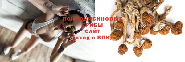 гидра Беломорск